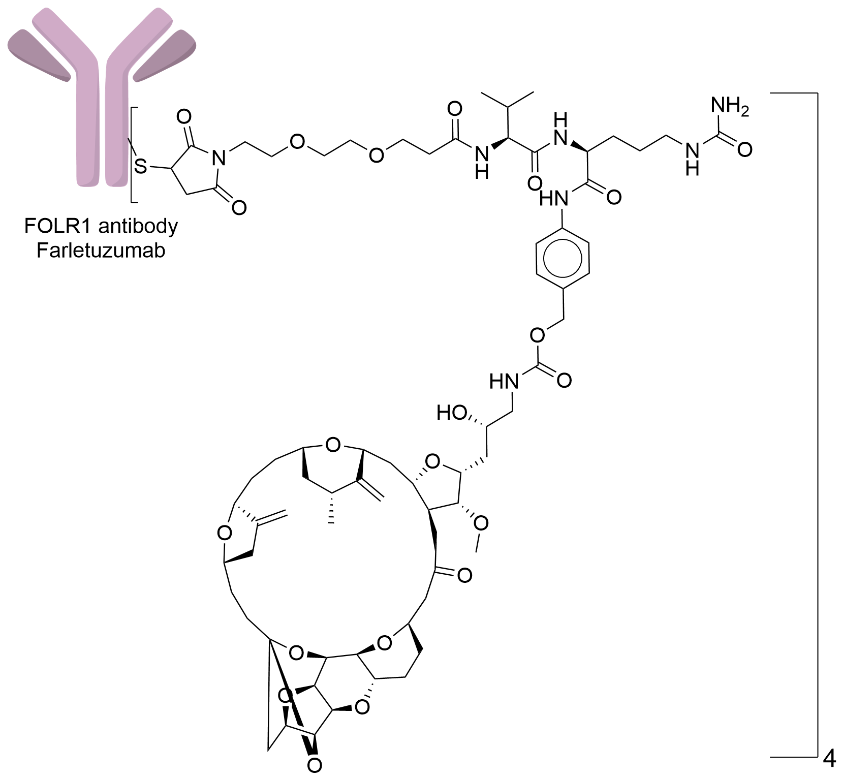 Antibody-drug Conjugate Information | ADCdb